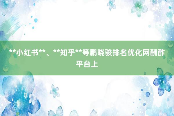**小红书**、**知乎**等鹏晓骏排名优化网酬酢平台上