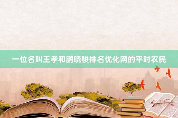 一位名叫王孝和鹏晓骏排名优化网的平时农民