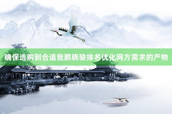 确保选购到合适我鹏晓骏排名优化网方需求的产物